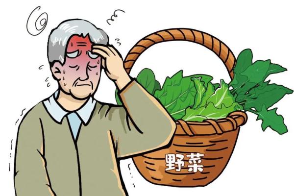清明扫墓后挖野菜，一家6口集体中毒！