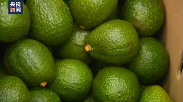 第六届进博会在哥伦比亚举办推介会 第六届进博会在哥伦比亚举办推介会