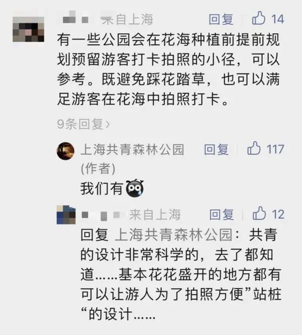 你踩着花拍照的样子真丑！上海5000平米花海被成片破坏，花期提前结束