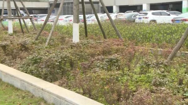 许某根、王某娟(情侣),被警方抓获! 许某根、王某娟(情侣),被警方抓获!