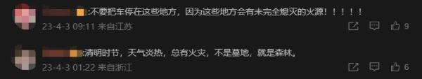 清明祭祖，烧了真车、真手机给先人……