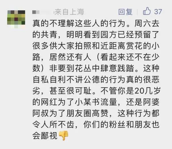 你踩着花拍照的样子真丑！上海5000平米花海被成片破坏，花期提前结束