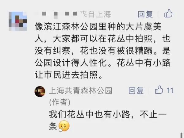 你踩着花拍照的样子真丑！上海5000平米花海被成片破坏，花期提前结束