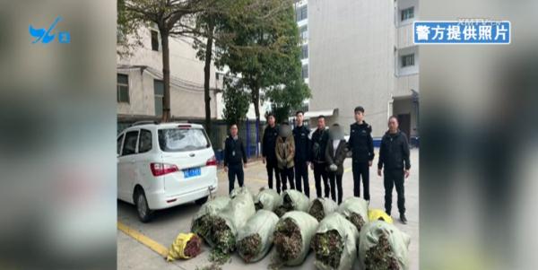 许某根、王某娟(情侣),被警方抓获! 许某根、王某娟(情侣),被警方抓获!