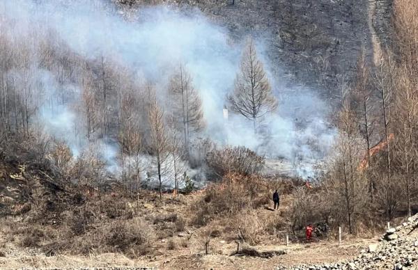 清明祭祖，烧了真车、真手机给先人……