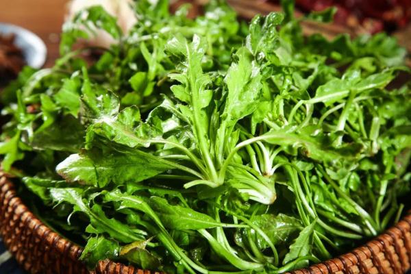 【健康】今日清明｜你不知道的养生秘诀