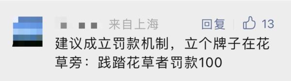 你美了，花没了，真丑！
