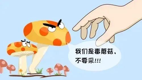 小小虫子危害大，清明踏青须当心！还要防范这些“开春病”→