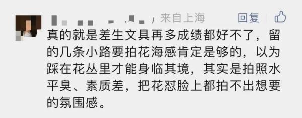 你美了，花没了，真丑！