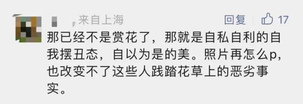 你美了，花没了，真丑！