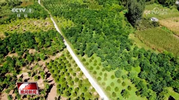 播撒绿色种子 共建美丽中国