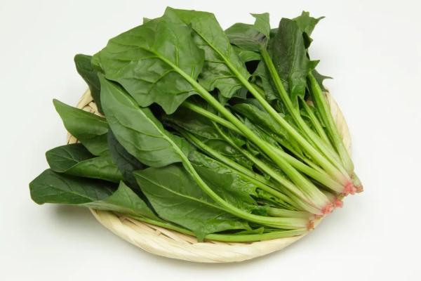 【健康】今日清明｜你不知道的养生秘诀