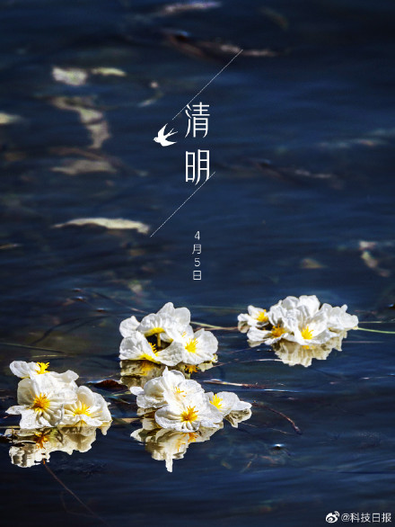 今日清明：万物生长，春和景明