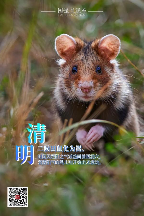 清明节,荡秋千的习俗是怎么来的? 清明节,荡秋千的习俗是怎么来的?