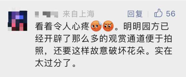 你美了，花没了，真丑！