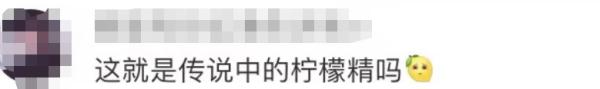 “鱼子酱”柠檬茶300元一杯，商家被罚20万！
