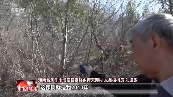 播撒绿色种子 共建美丽中国