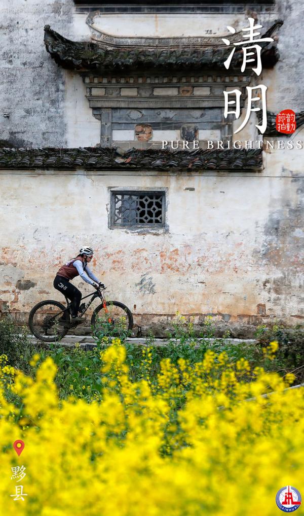 韵动节拍｜气清景明四月天，不负春光好锻炼