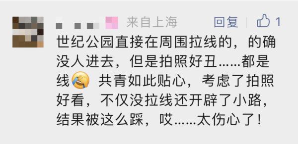 你美了，花没了，真丑！