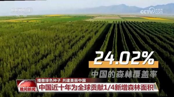 播撒绿色种子 共建美丽中国