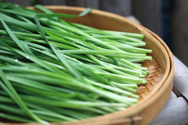 【健康】今日清明｜你不知道的养生秘诀