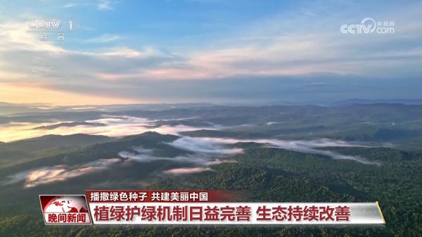 播撒绿色种子 共建美丽中国