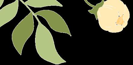 小小虫子危害大，清明踏青须当心！还要防范这些“开春病”→