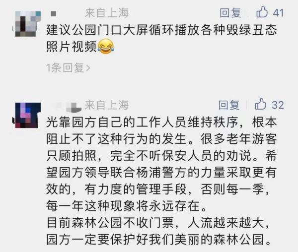 你美了，花没了，真丑！