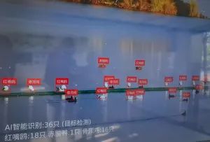 新奇！昆明用上了“鸟脸识别”系统