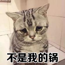 春季谈花色变?花粉过敏的“元凶”真不是花~ 春季谈花色变?花粉过敏的“元凶”真不是花~