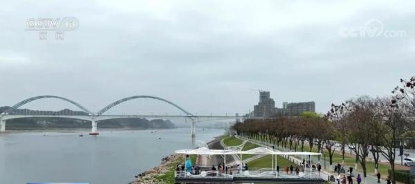 长江生态持续向好 “水中大熊猫”江豚现身宜昌江段 长江生态持续向好 “水中大熊猫”江豚现身宜昌江段