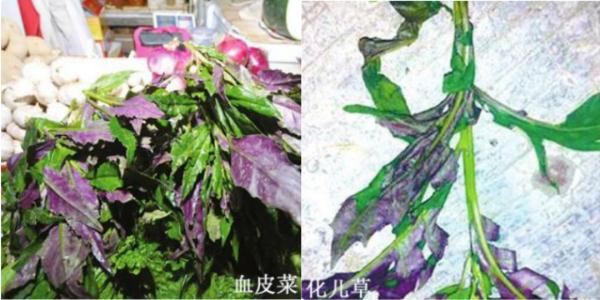 已致多人中毒！丨陕西省卫健委紧急提示