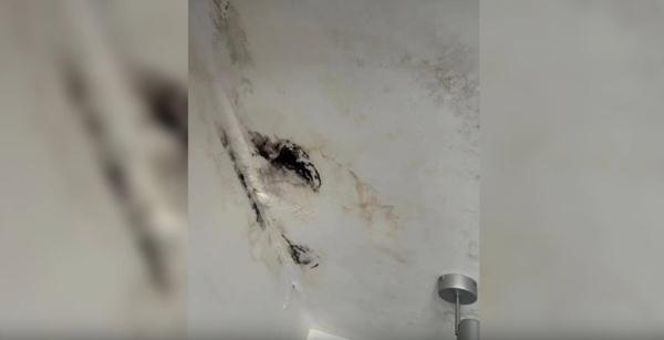 漏水不断、墙皮满天飞，小区过了质保期，开发商就能当“甩手掌柜”？