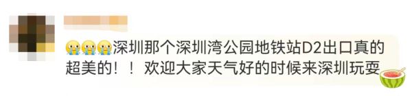 冲上热搜！深圳地铁站被全国网友围观了