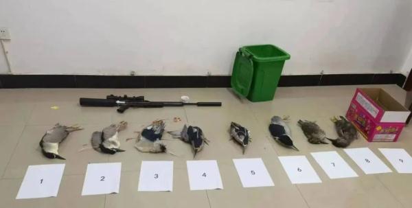 仙桃警方破获一起非法捕猎国家“三有”保护野生动物案