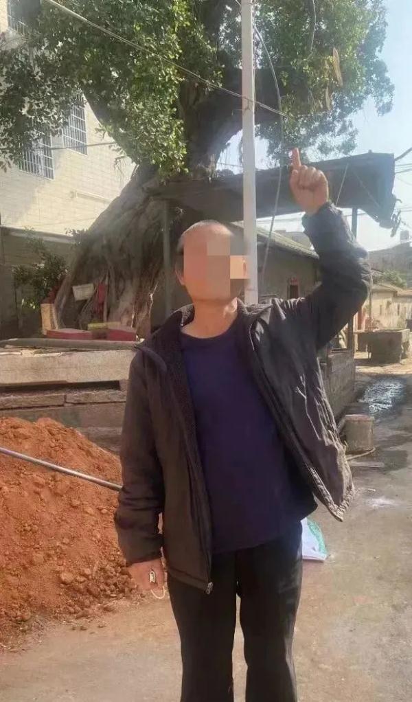 这种树的树枝砍不得!这几人已涉嫌犯罪 这种树的树枝砍不得!这几人已涉嫌犯罪