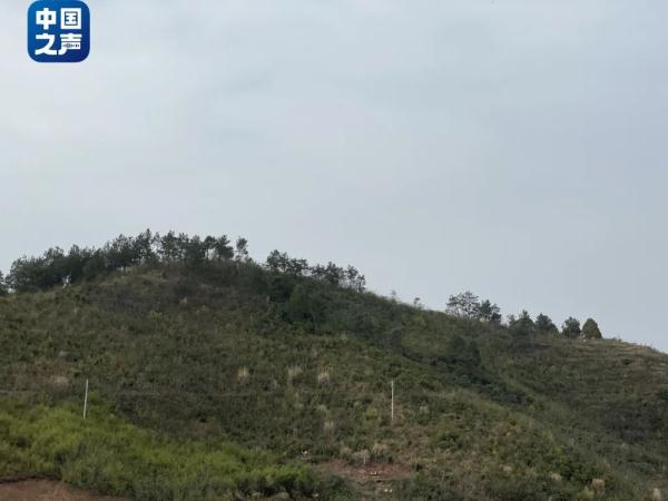 墓地“错位”之后,殡葬乱象如何解? 墓地“错位”之后,殡葬乱象如何解?