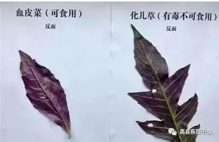 已致多人中毒！丨陕西省卫健委紧急提示