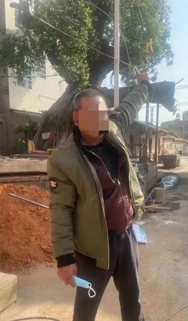 这种树的树枝砍不得!这几人已涉嫌犯罪 这种树的树枝砍不得!这几人已涉嫌犯罪