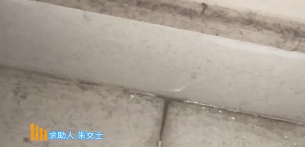 漏水不断、墙皮满天飞，小区过了质保期，开发商就能当“甩手掌柜”？