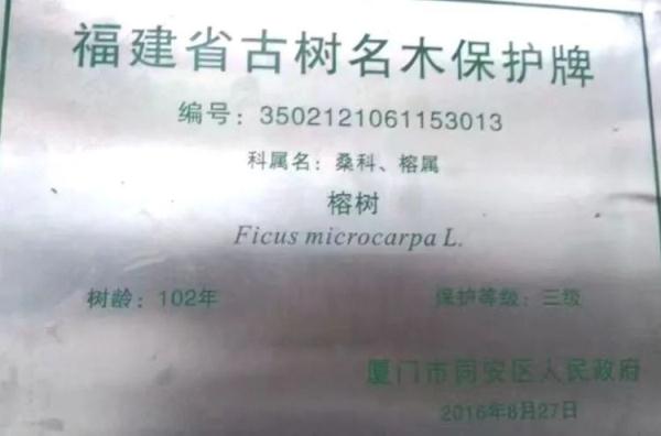 这种树的树枝砍不得!这几人已涉嫌犯罪 这种树的树枝砍不得!这几人已涉嫌犯罪