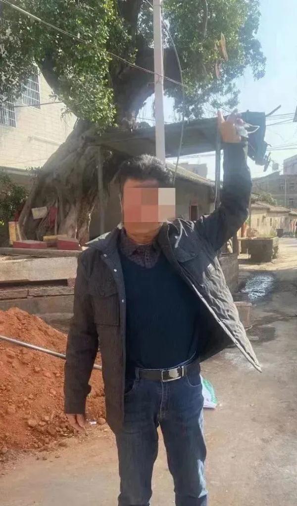 这种树的树枝砍不得!这几人已涉嫌犯罪 这种树的树枝砍不得!这几人已涉嫌犯罪