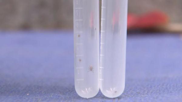 突然！厦门患者暴增！医生紧急提醒！