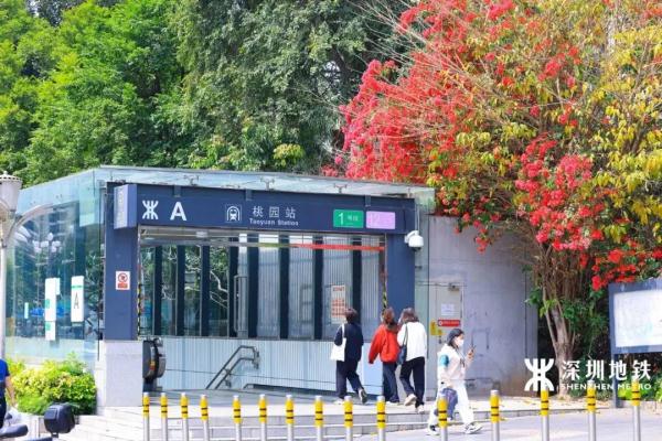 冲上热搜！深圳地铁站被全国网友围观了