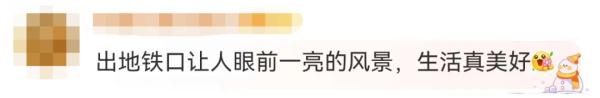 冲上热搜！深圳地铁站被全国网友围观了