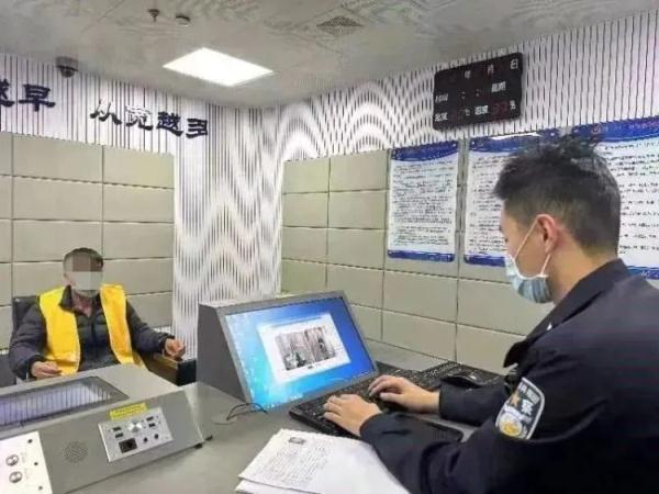 这种树的树枝砍不得!这几人已涉嫌犯罪 这种树的树枝砍不得!这几人已涉嫌犯罪