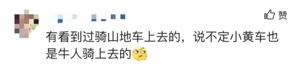 哪位“大佬”把共享单车扛到梧桐山顶？网友：是个人才