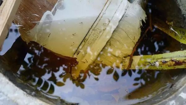 14人死亡、超1.6万人感染！一国暴发传染疾病，深圳疾控紧急提醒