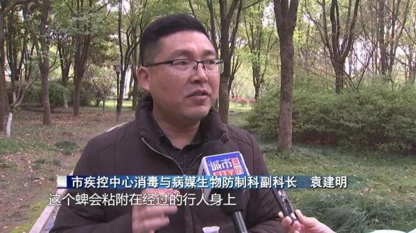 当心！这种致命小虫进入活跃期，已有人中招！