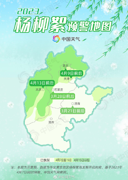 又到一年飞絮时！2023杨柳絮预警地图 来了 这些地方将进入高发期